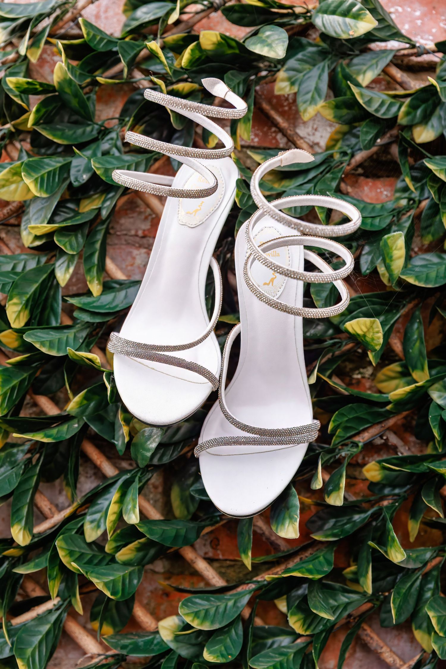 White strappy heeled sandals with crystal embellishments displayed on green leaves for a bridal wedding look.