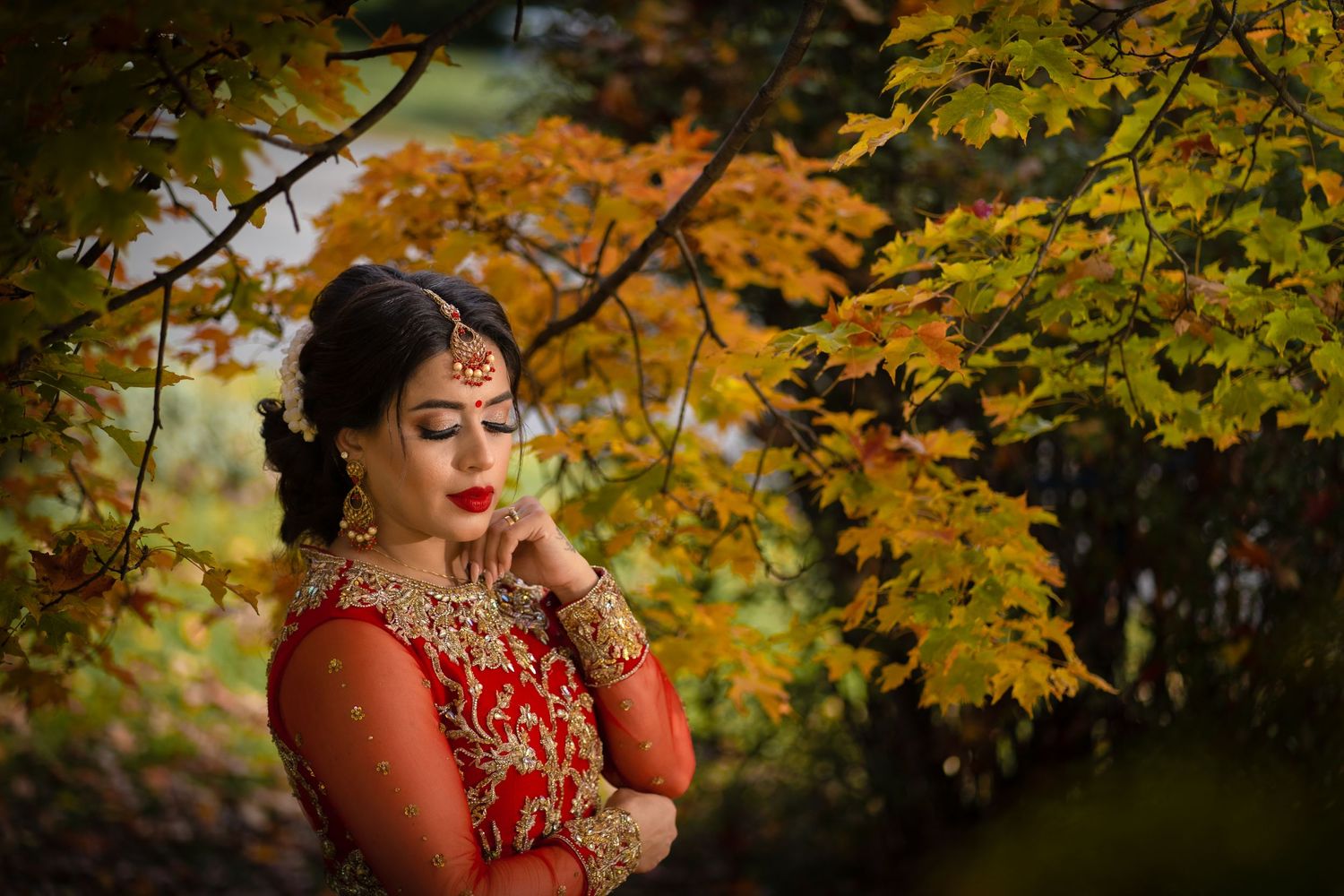 Someone wearing a traditional red and gold embroidered outfit poses thoughtfully under golden autumn leaves in a park.