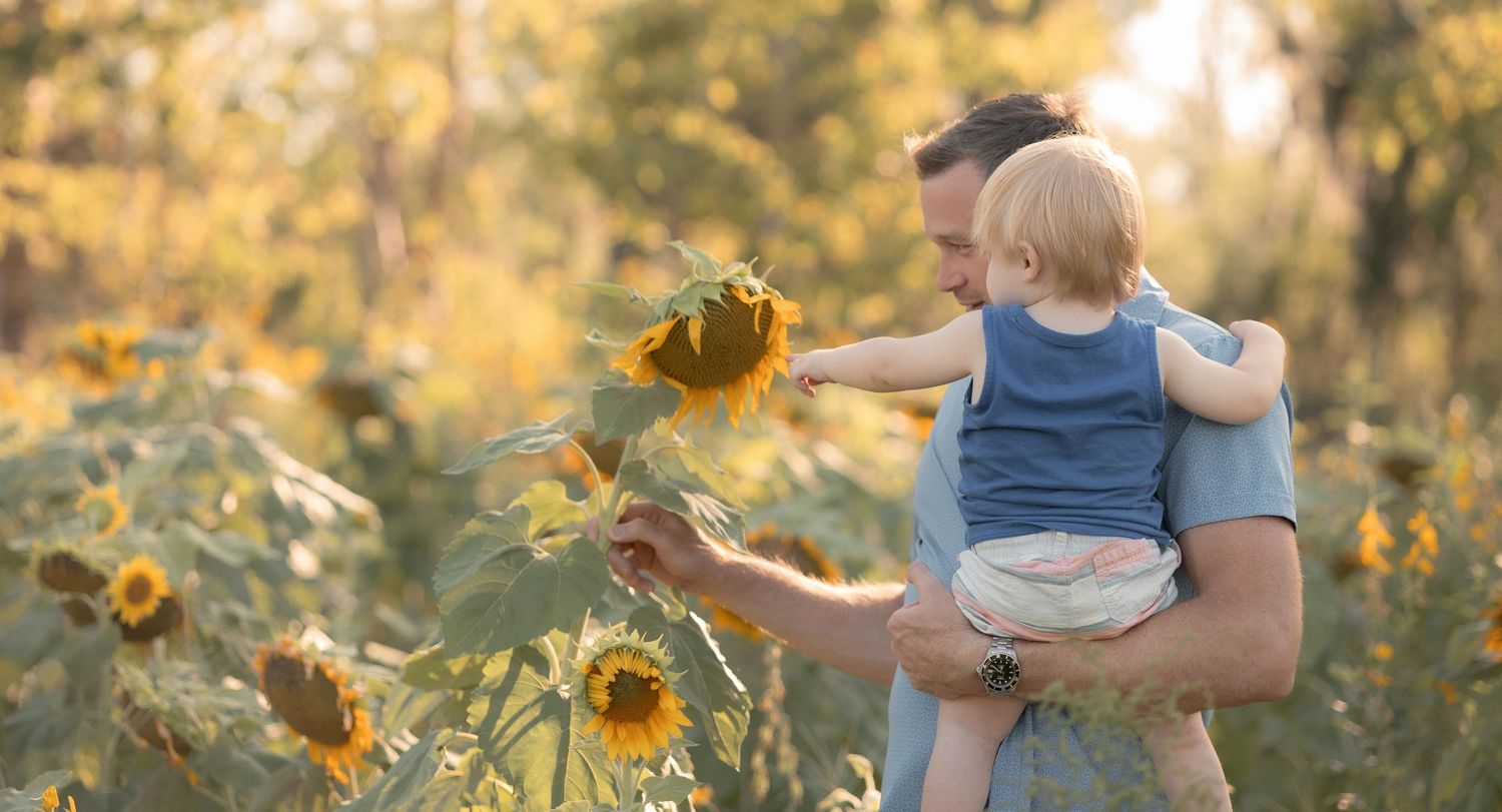 Father holding baby while showing sunflowers in a golden field during a warm sunny day outdoors.