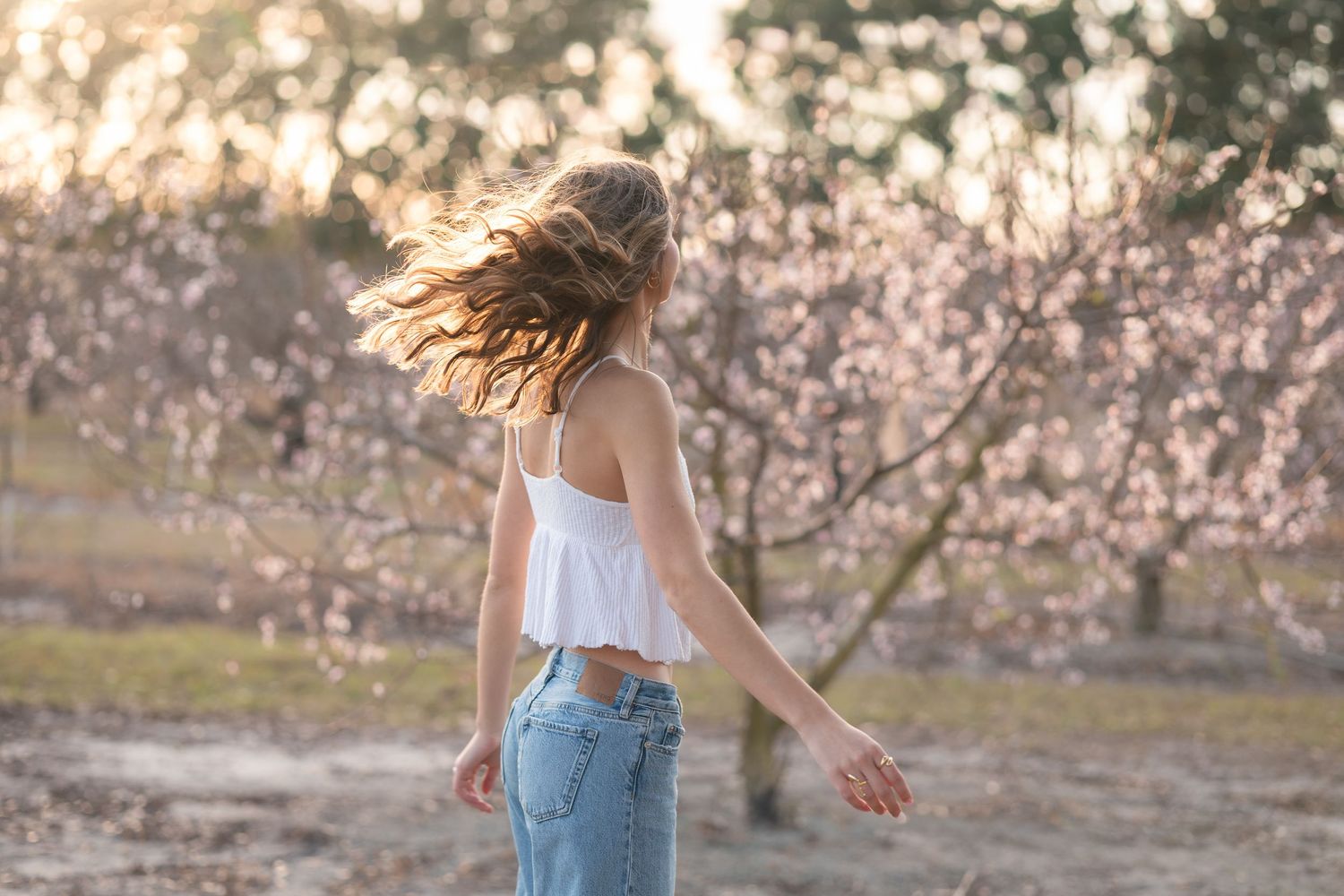 Person in denim overalls walks through blooming almond orchards during golden sunset hour.