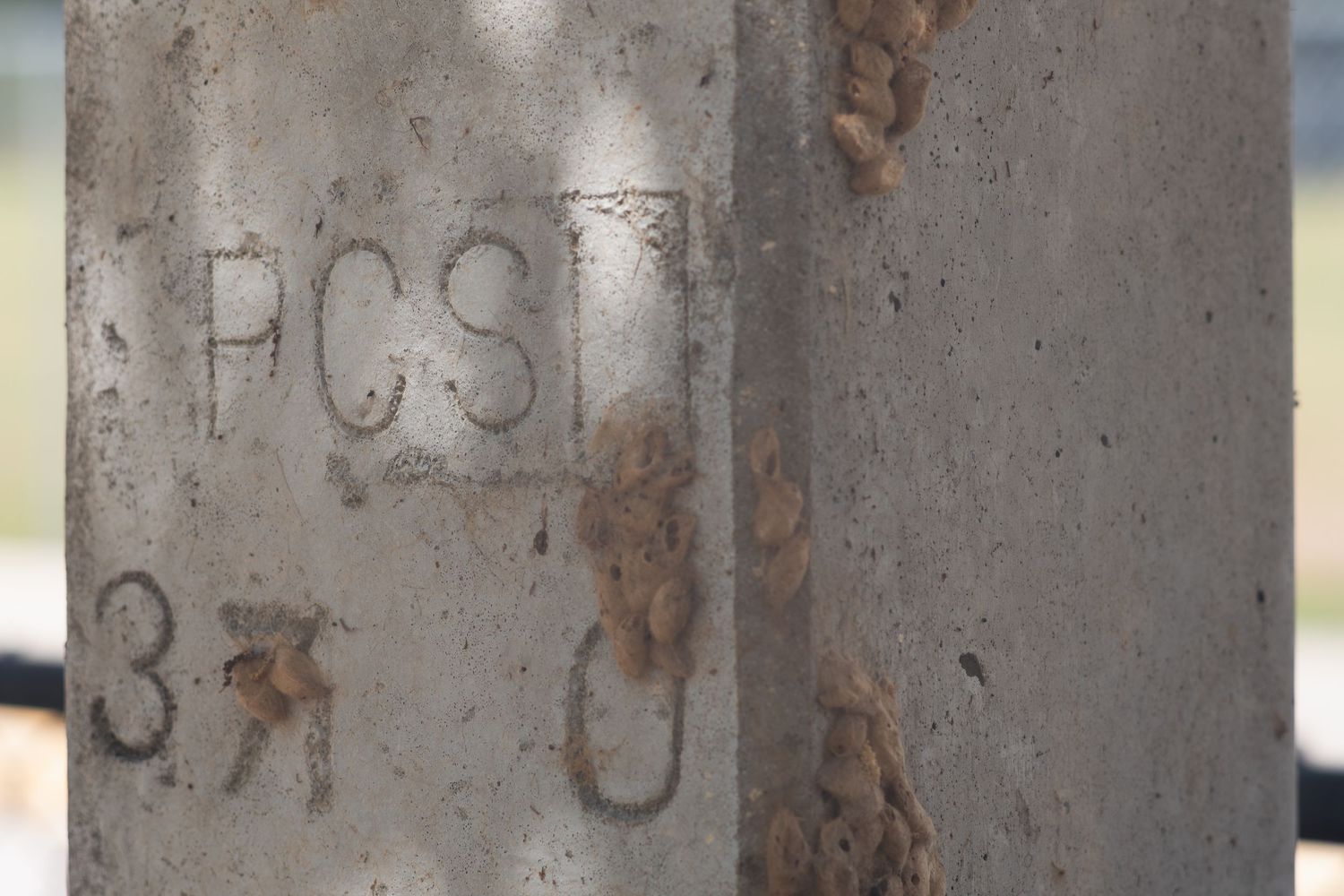 Close-up of a weathered concrete post with engraved text reading PCS and number 3, showing rust stains and age.