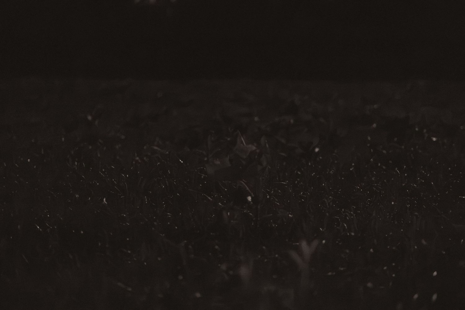 Dark atmospheric close-up of soil or ground texture with scattered light particles visible in dim lighting.