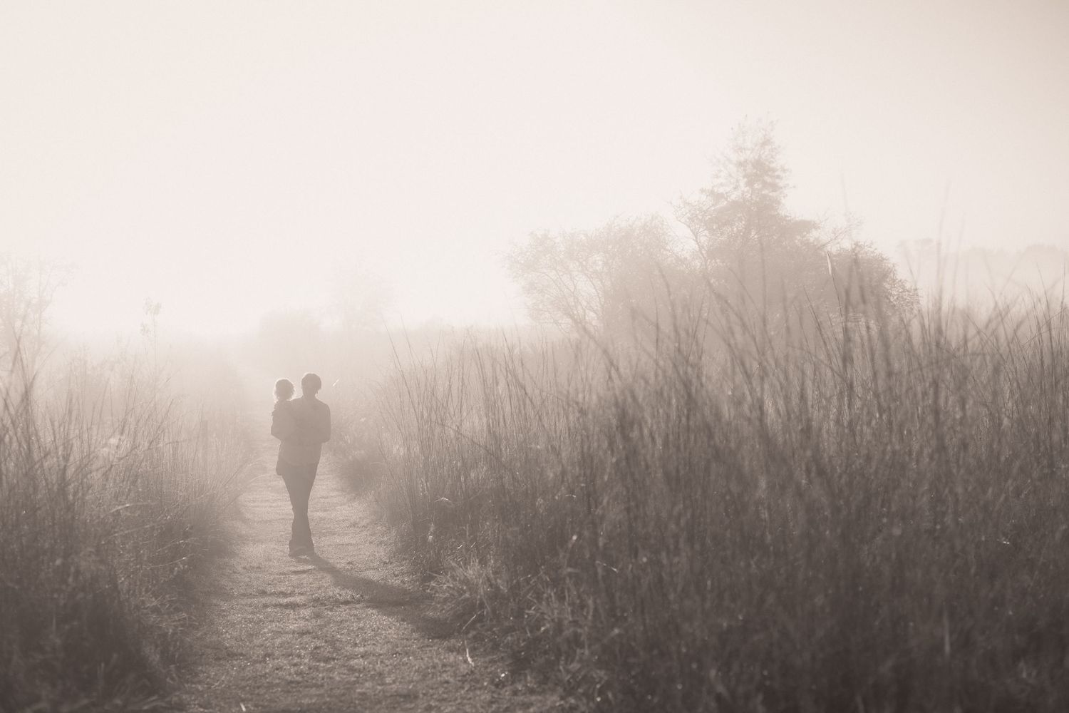 A silhouetted figure walks along a misty trail surrounded by tall grass on a foggy morning.