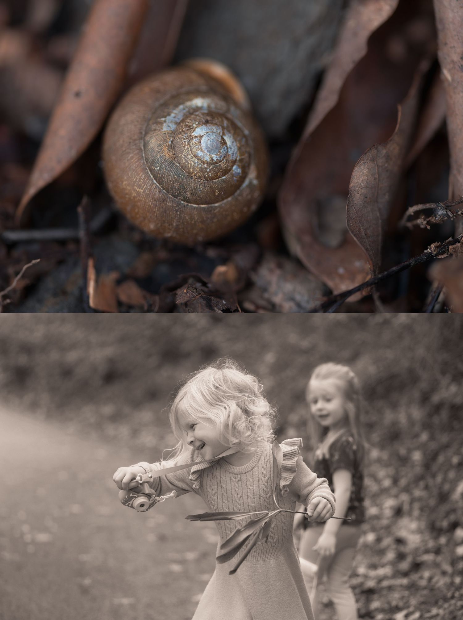 Close-up of a spiral snail shell among autumn leaves, and two young blonde girls playing outdoors in a black and white photo.