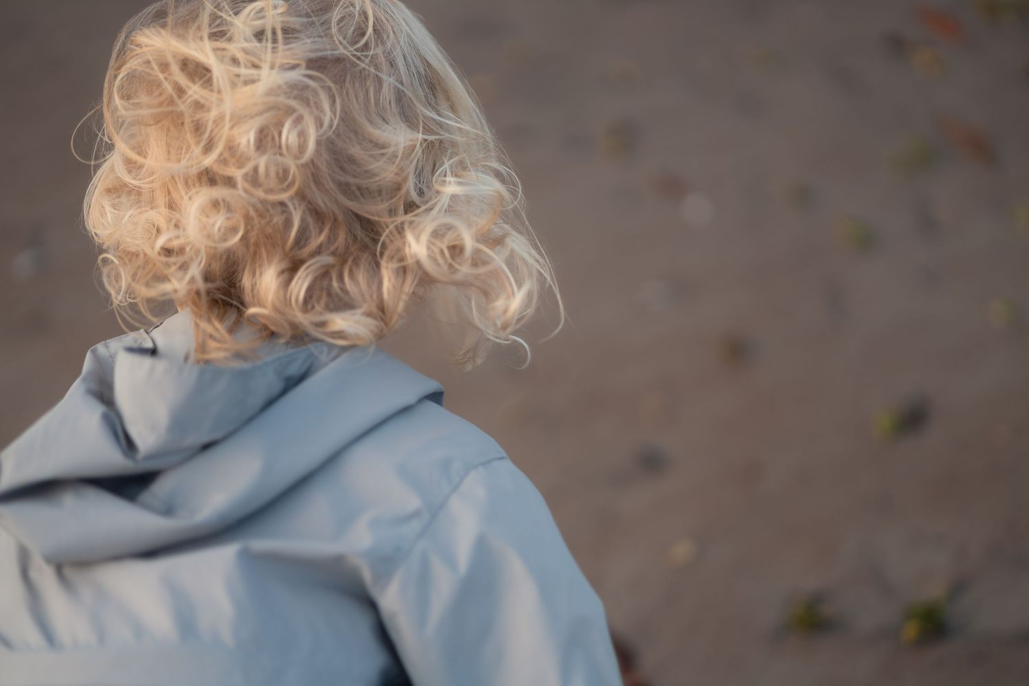 A child with curly blonde hair wearing a light blue hoodie is shown from behind.