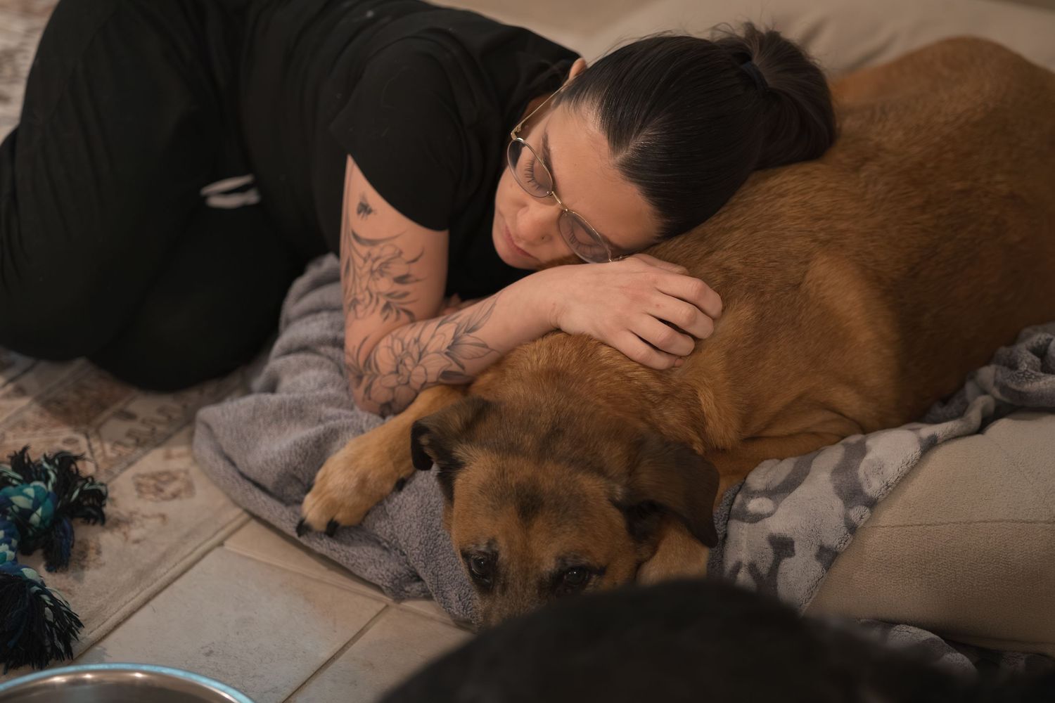 Brown dog resting comfortably among people during indoor family time.