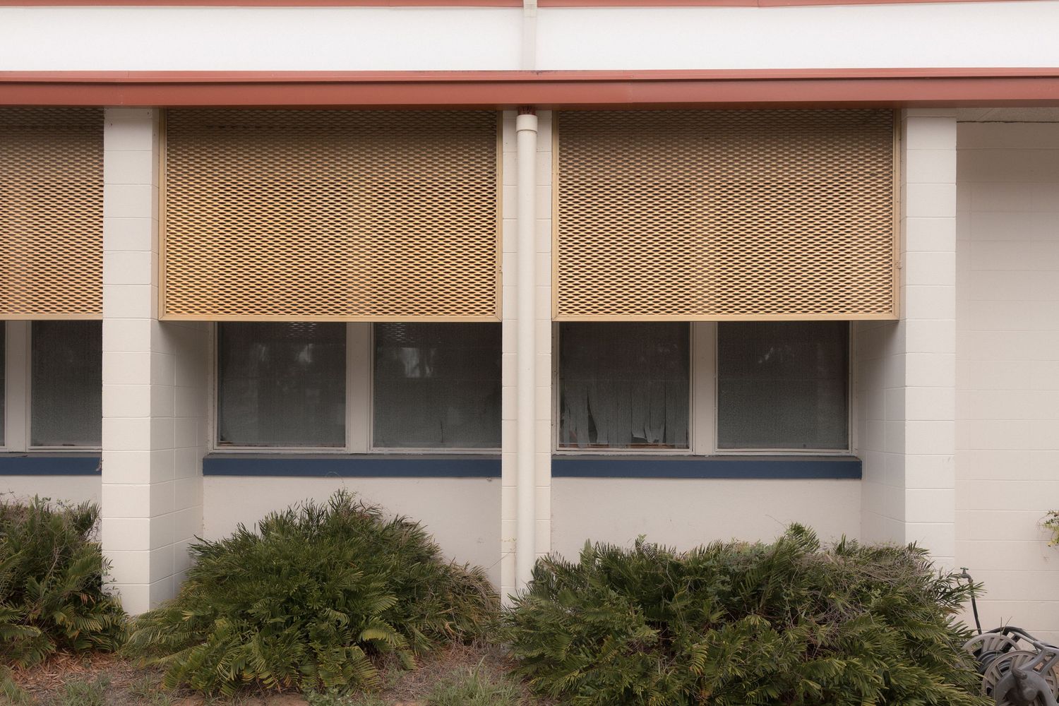 Beige building exterior with blue-framed windows, bamboo roller blinds, and green shrubs landscaping below.