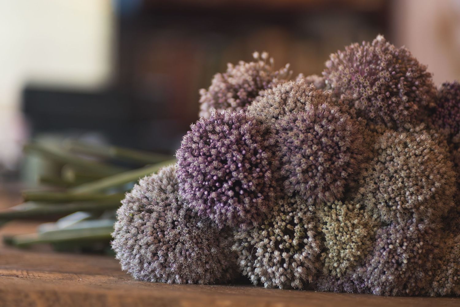 Dried purple allium flower heads arranged on a rustic wooden surface with soft bokeh background.