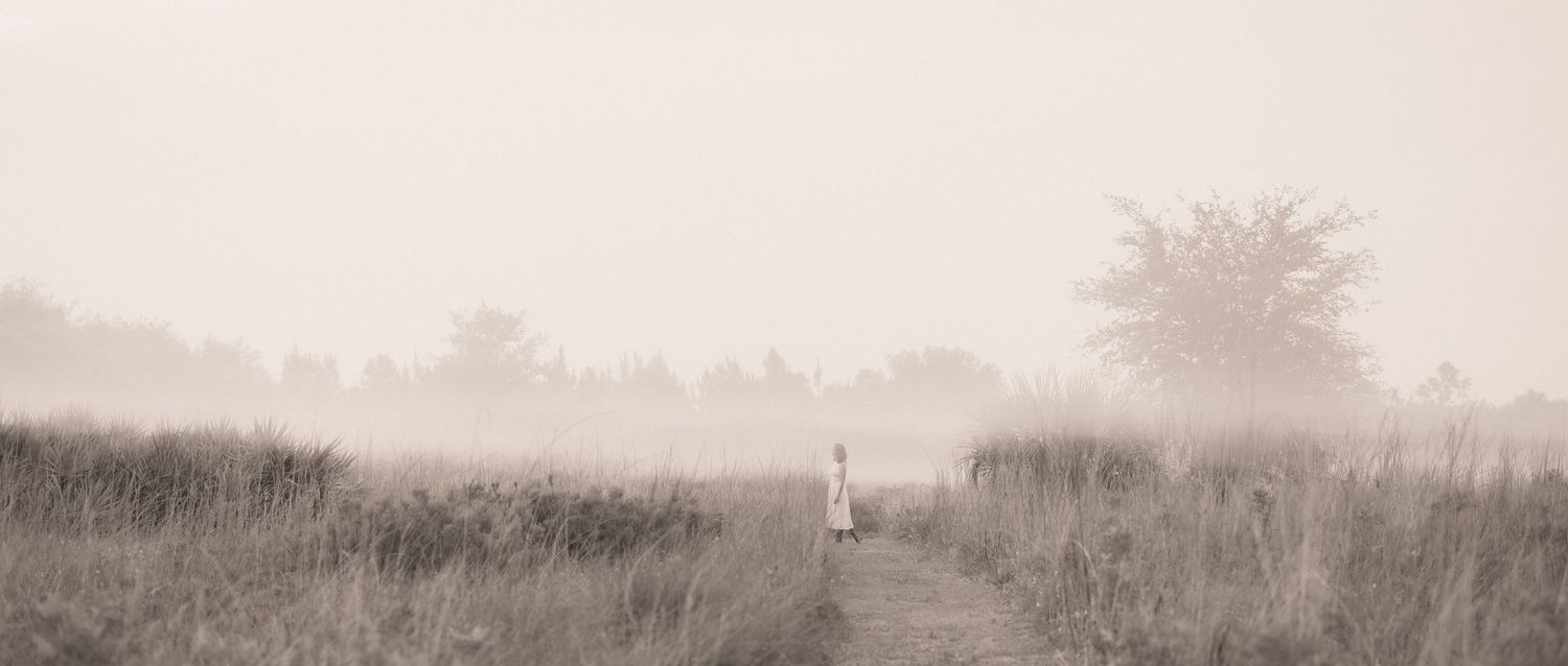 Person walking along a misty rural path through tall grass with trees in the foggy background.