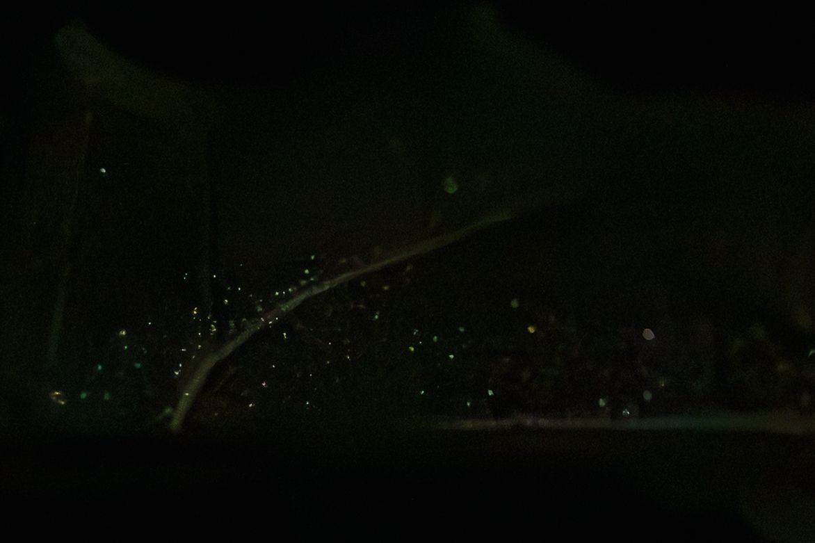 Dark night scene with glowing sparks and light trails creating a magical bokeh effect in a forest setting.