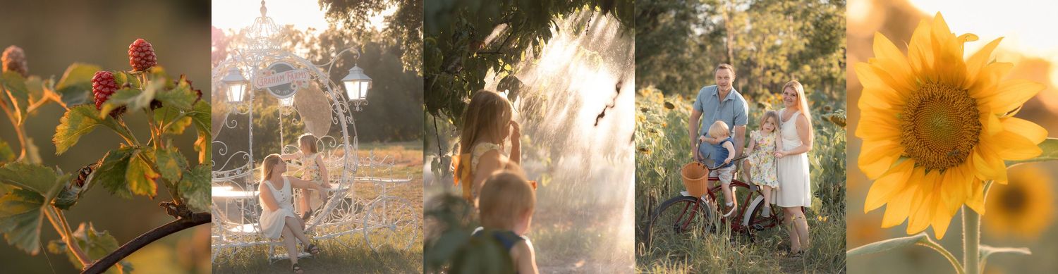 Golden hour family photography collage featuring sunflowers, children playing in sprinklers, and a couple with a bicycle.