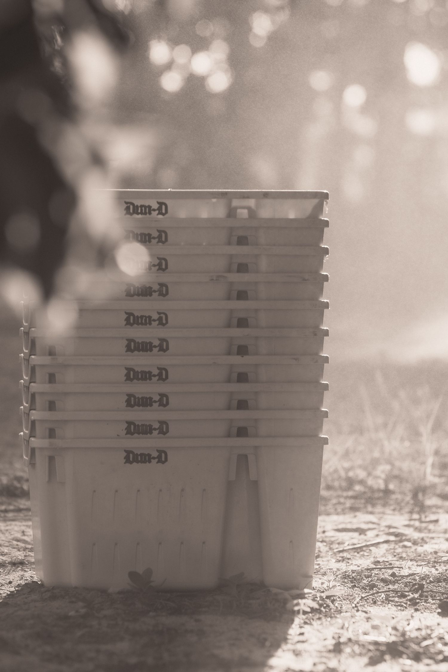 Stack of white Dum-D branded buckets outdoors in a misty, sepia-toned setting on sandy ground.