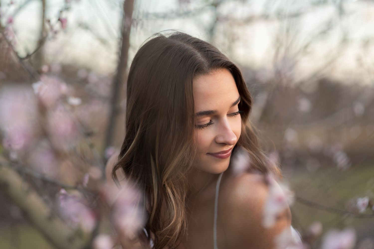 Soft pink cherry blossoms frame a profile view in a spring garden setting.