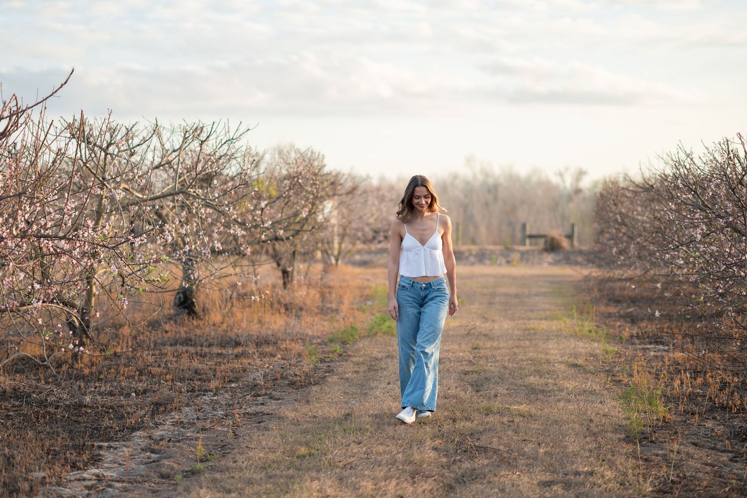 A figure walks through a scenic orchard during autumn with bare branches against a misty rural landscape.