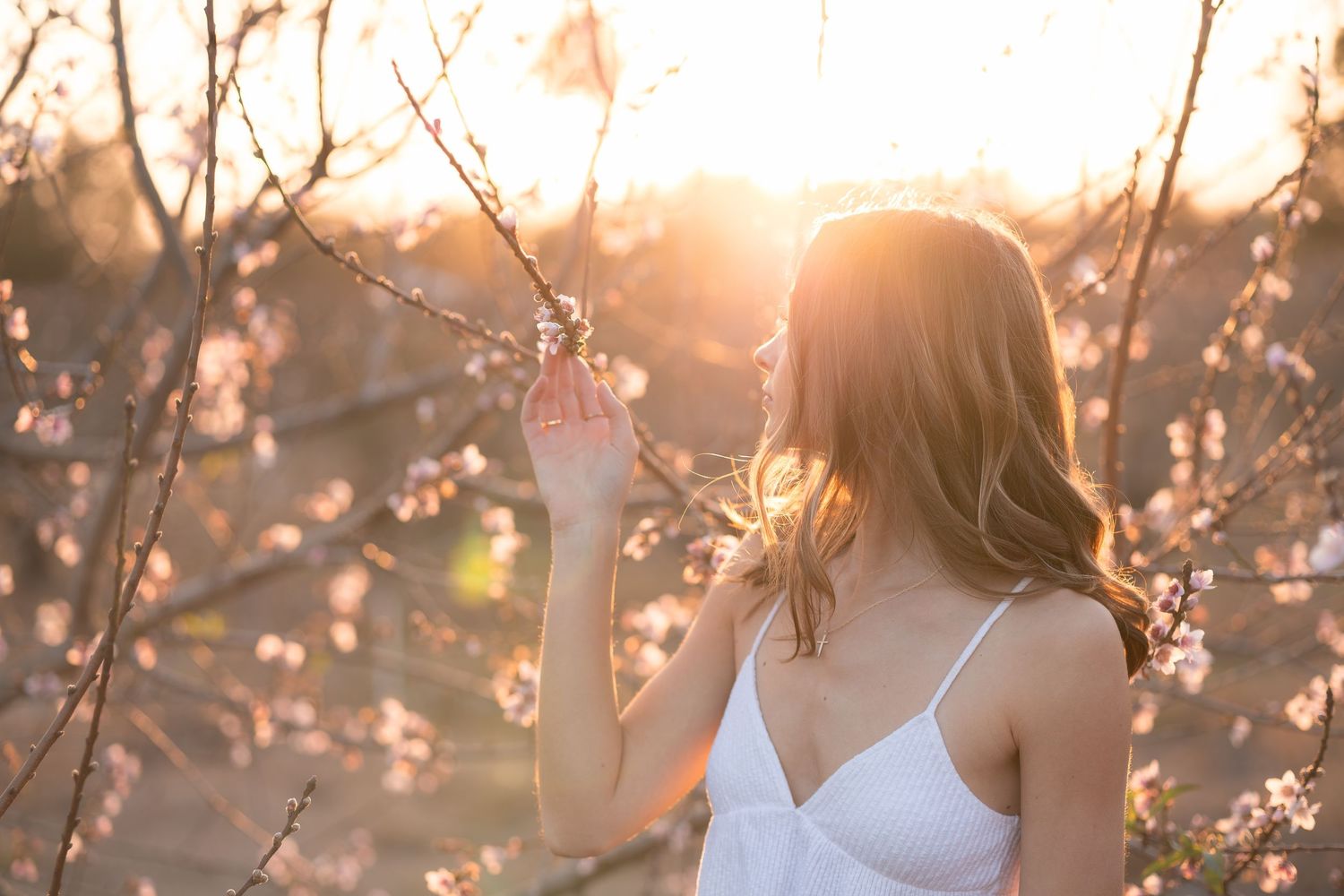 A couple embraces in a romantic golden sunset with cherry blossoms framing the scene.