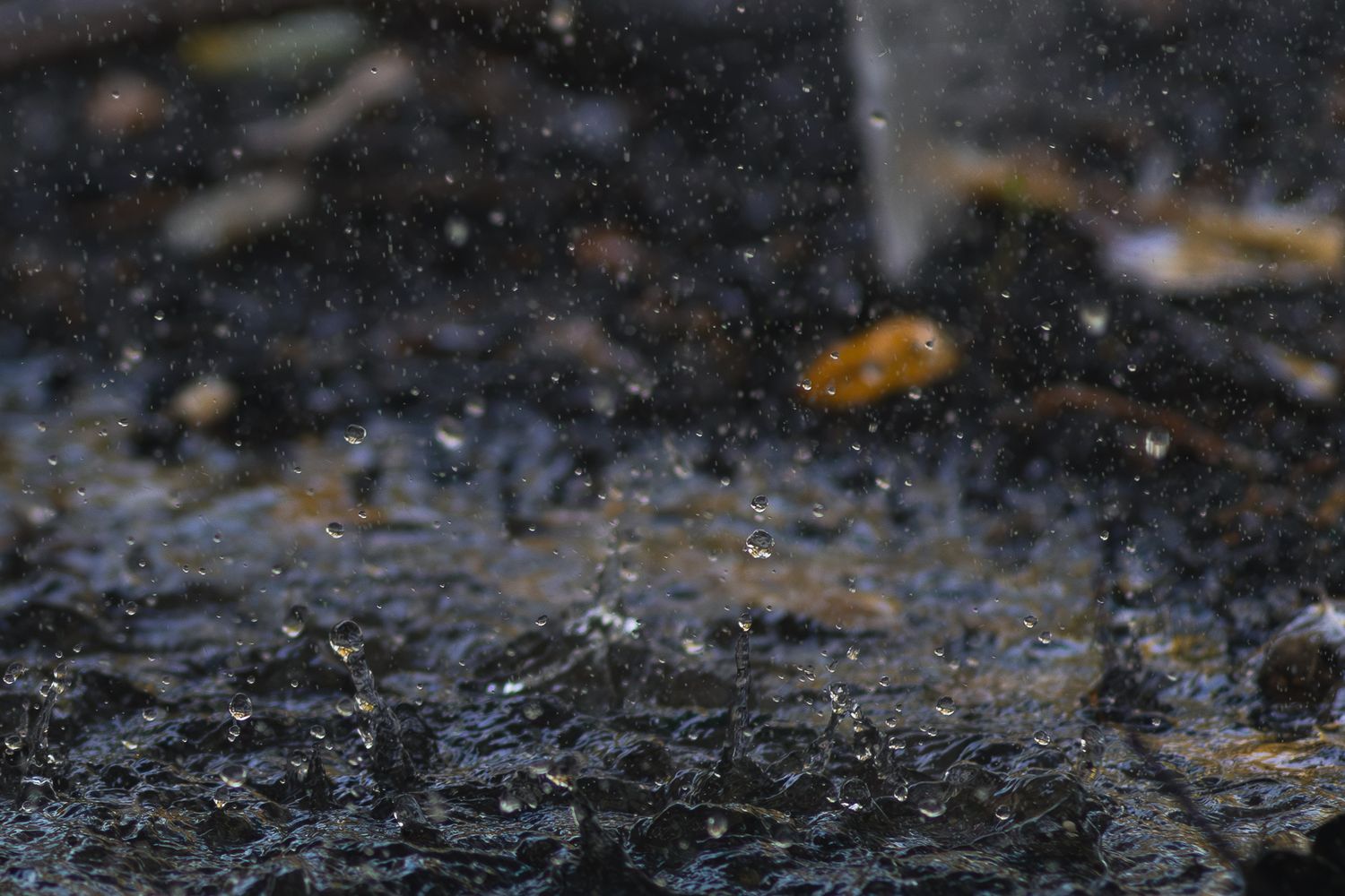Close-up of rain droplets splashing on wet dark pavement with blurred autumn leaves in the background.