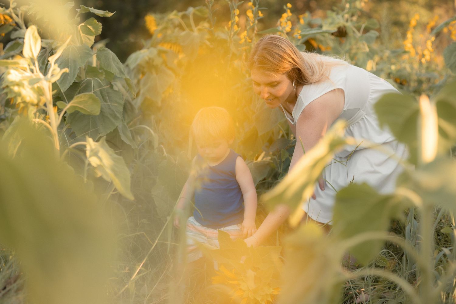A woman and child explore a sunlit field of tall sunflowers, bathed in warm golden light.