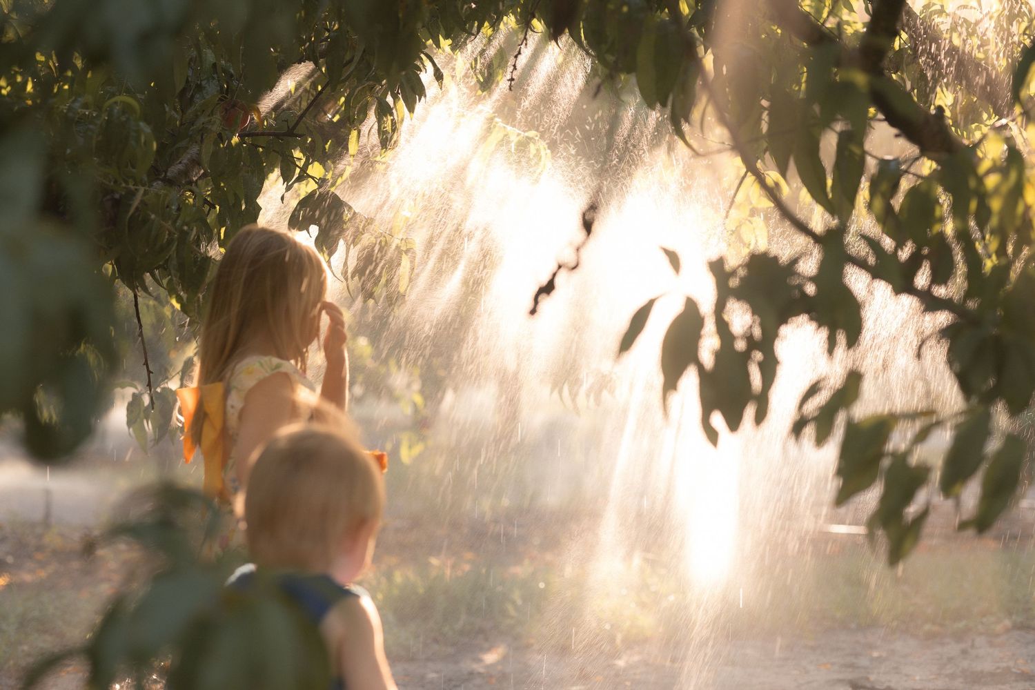 Two children playing outdoors in golden sunlight filtering through green trees, with a misty water spray creating a magical atmosphere.