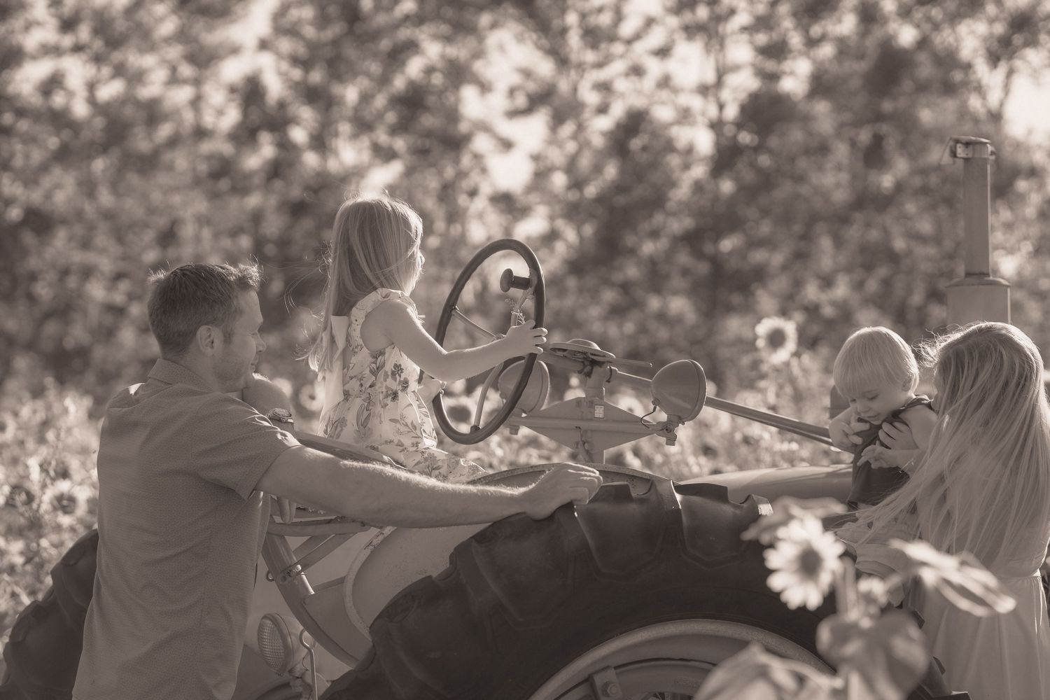 Family riding a vintage tractor through a sunflower field in a nostalgic sepia-toned countryside photo.