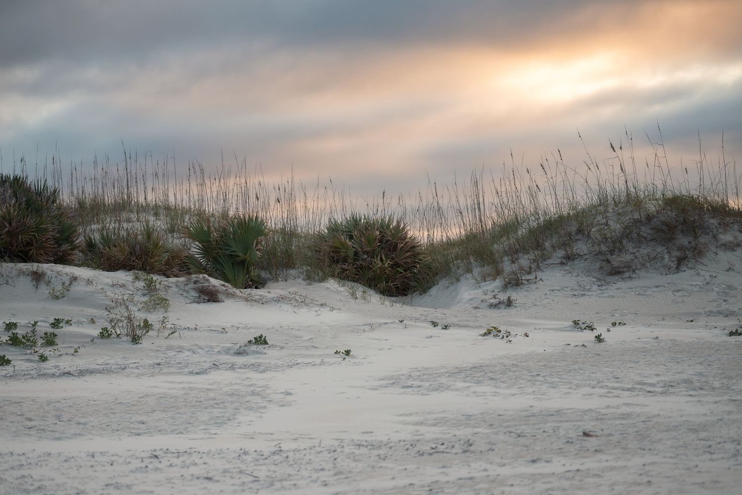 Panoramic view of sandy beach dunes with sea oats and dramatic sunset sky over the coastline.