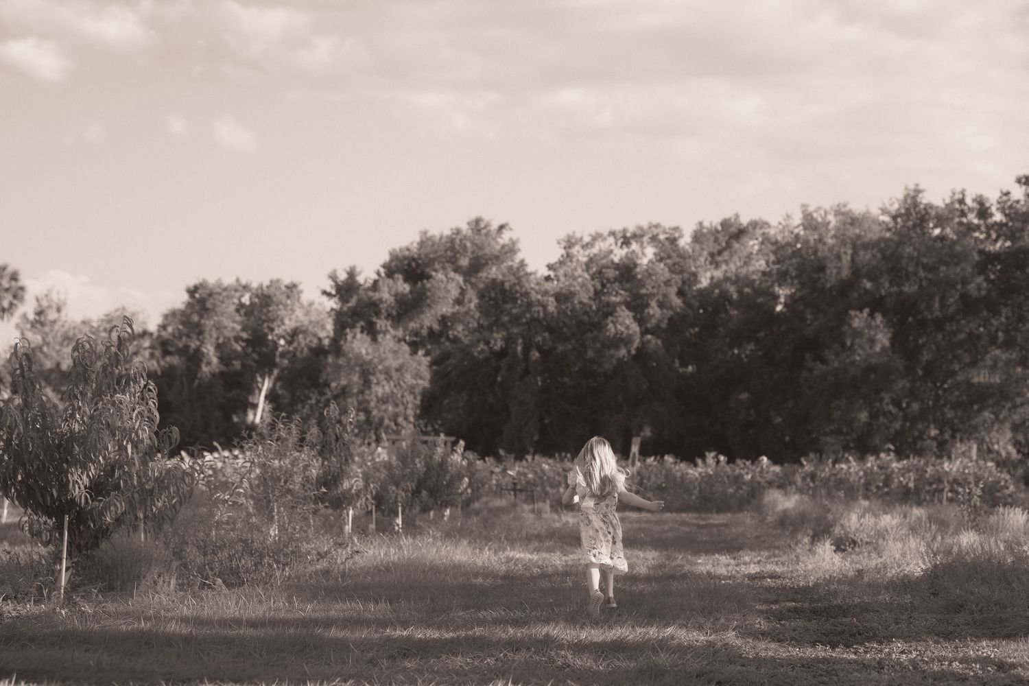 A lone figure walks through a serene black and white landscape with lush trees in the background.