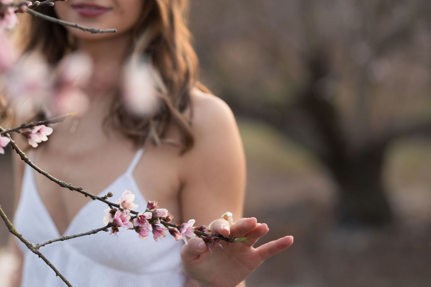 A hand gently touches delicate pink cherry blossoms on a spring branch with soft bokeh background.