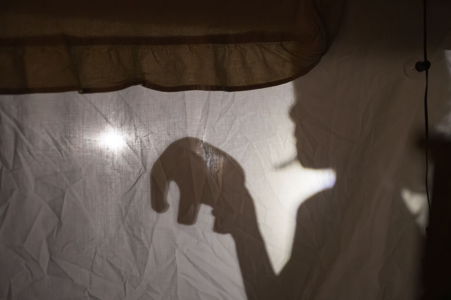 Silhouettes of figures projected onto a white fabric or paper surface create an abstract shadow play effect.