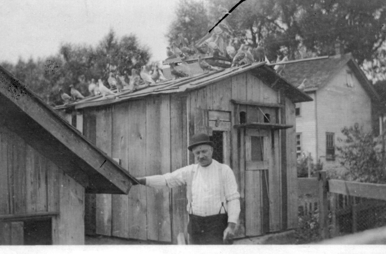 A series of vintage black and white photos showing wooden shacks and buildings in a rural setting.