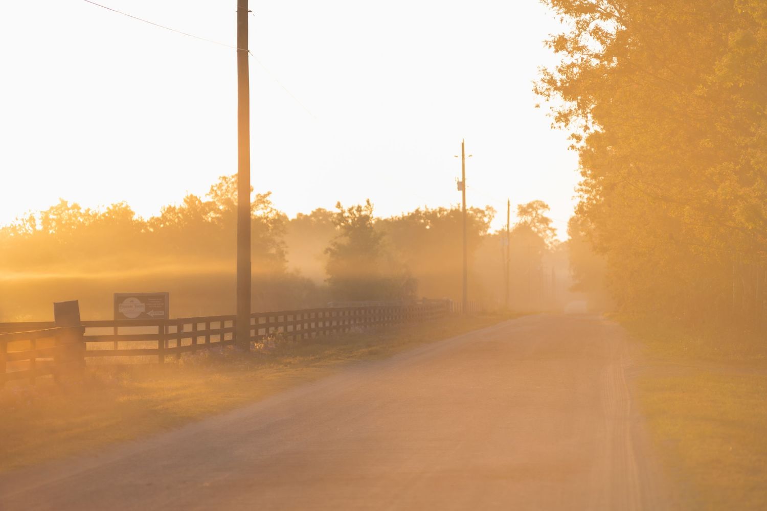 Golden sunrise light illuminates a misty rural dirt road flanked by wooden fence and trees.