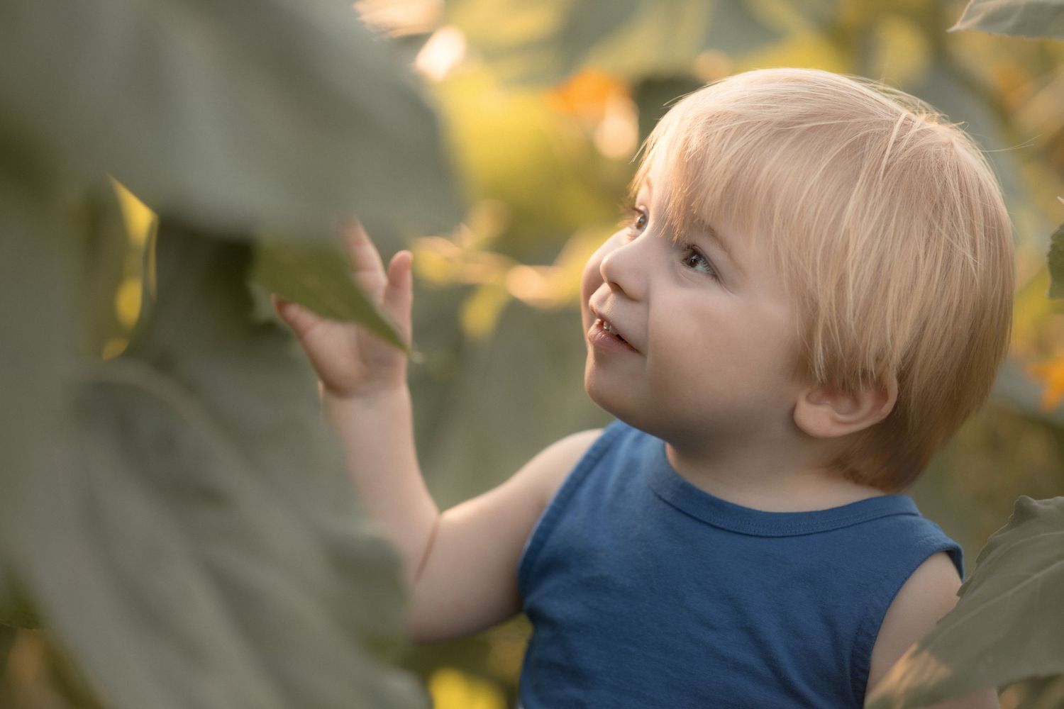 Curious toddler with blonde hair reaching toward green leaves outdoors in soft natural light.