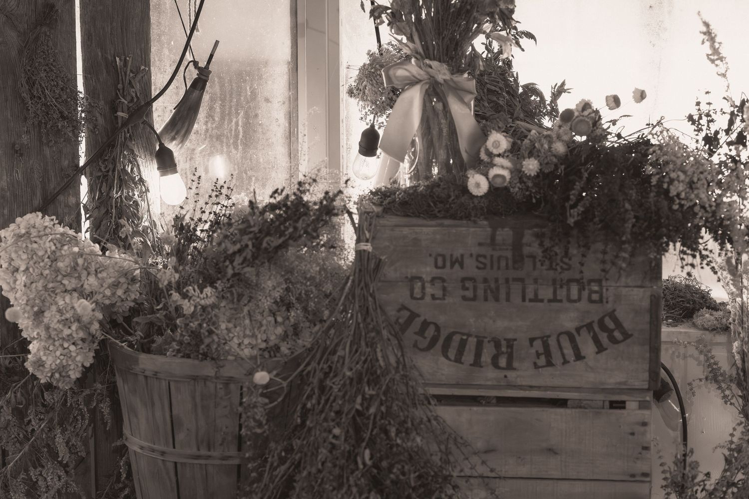 Vintage sepia photo of Blue Ridge Bottling Co. wooden crate surrounded by dried floral arrangements and rustic baskets.