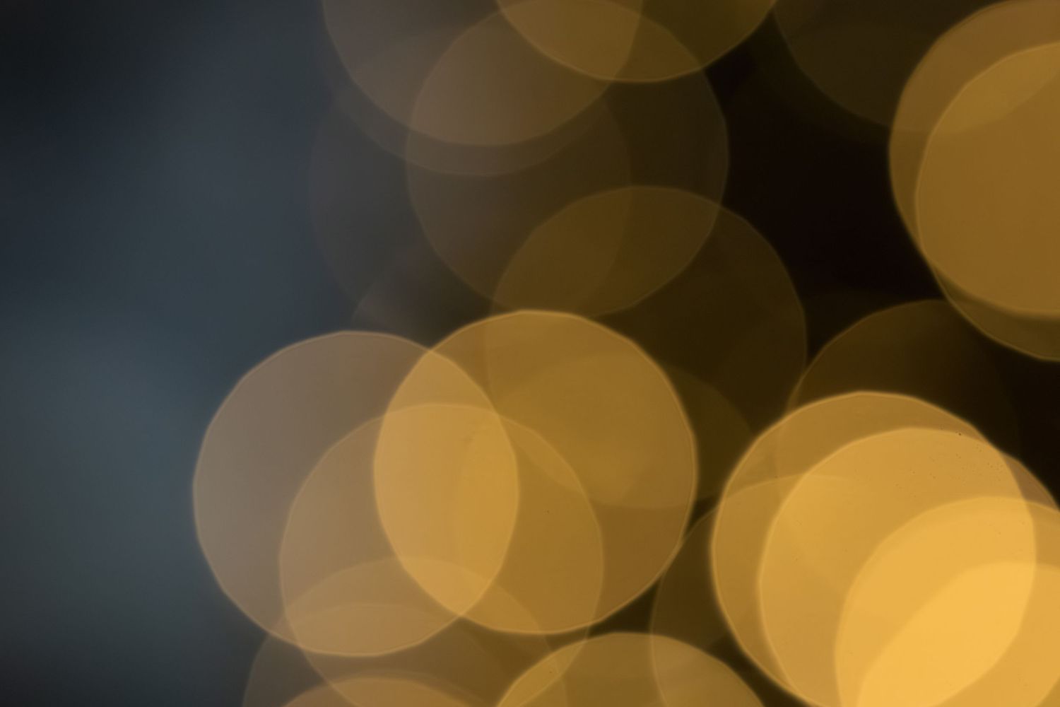 Blurred golden bokeh lights create a dreamy background pattern with soft circular shapes.