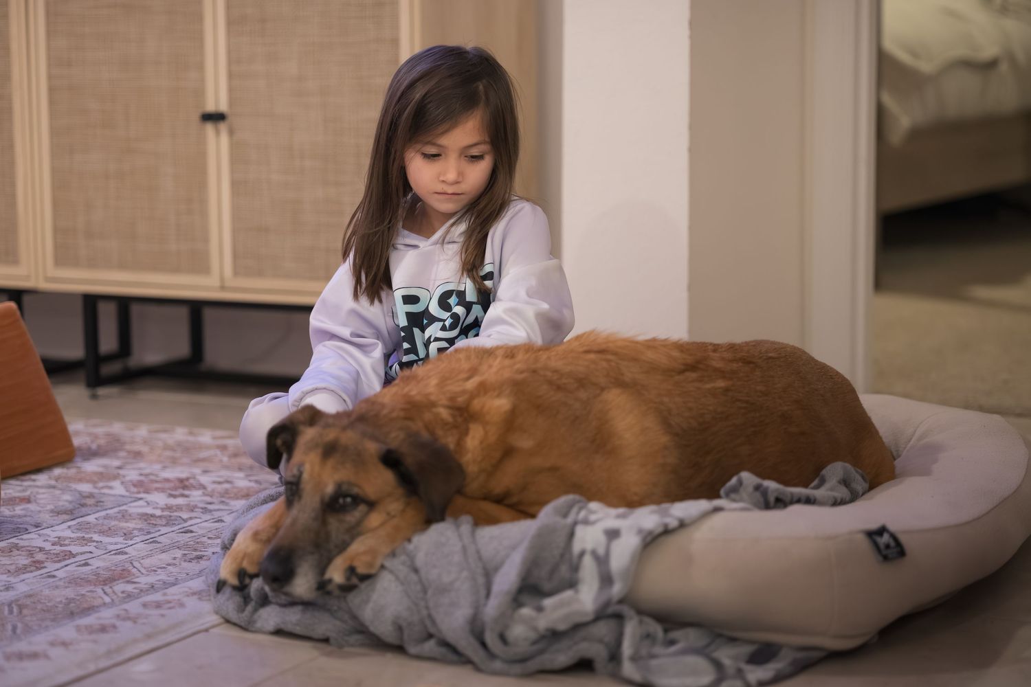Dog and companion sharing a tender moment while relaxing on grey bedding.
