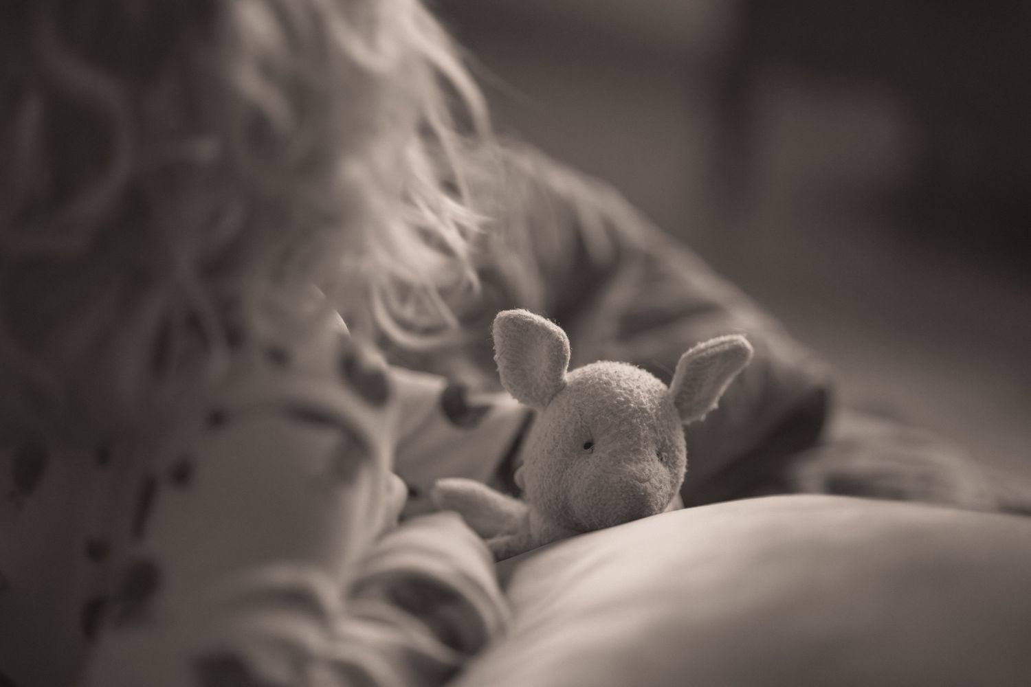 Monochromatic close-up photograph of roses with soft focus and dreamy bokeh effect in black and white.
