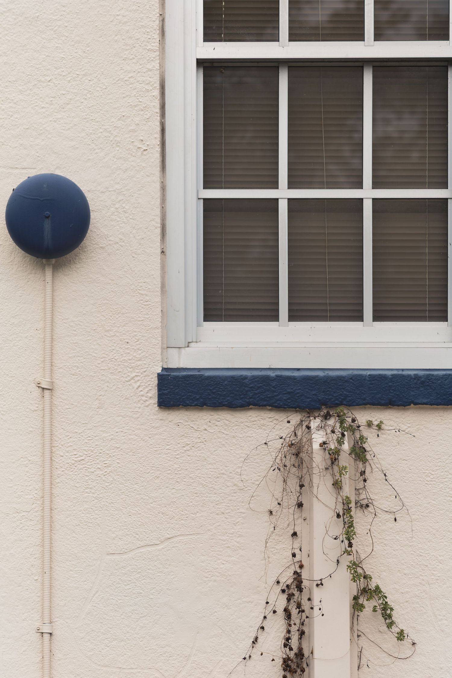 White stucco building exterior with blue round speaker, white grid window, blue trim, and trailing ivy plant.