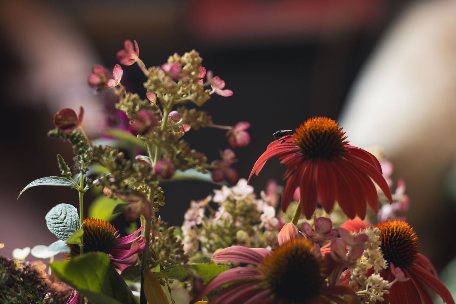 Close-up of vibrant echinacea and pink wildflowers in a lush garden arrangement with soft bokeh background.
