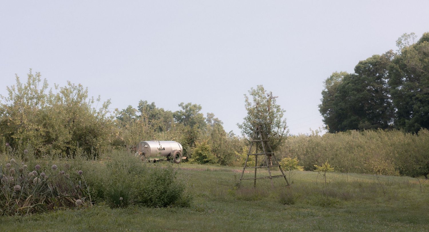 A white tank truck parked among lush green trees and shrubs in a rural countryside landscape on a clear day.