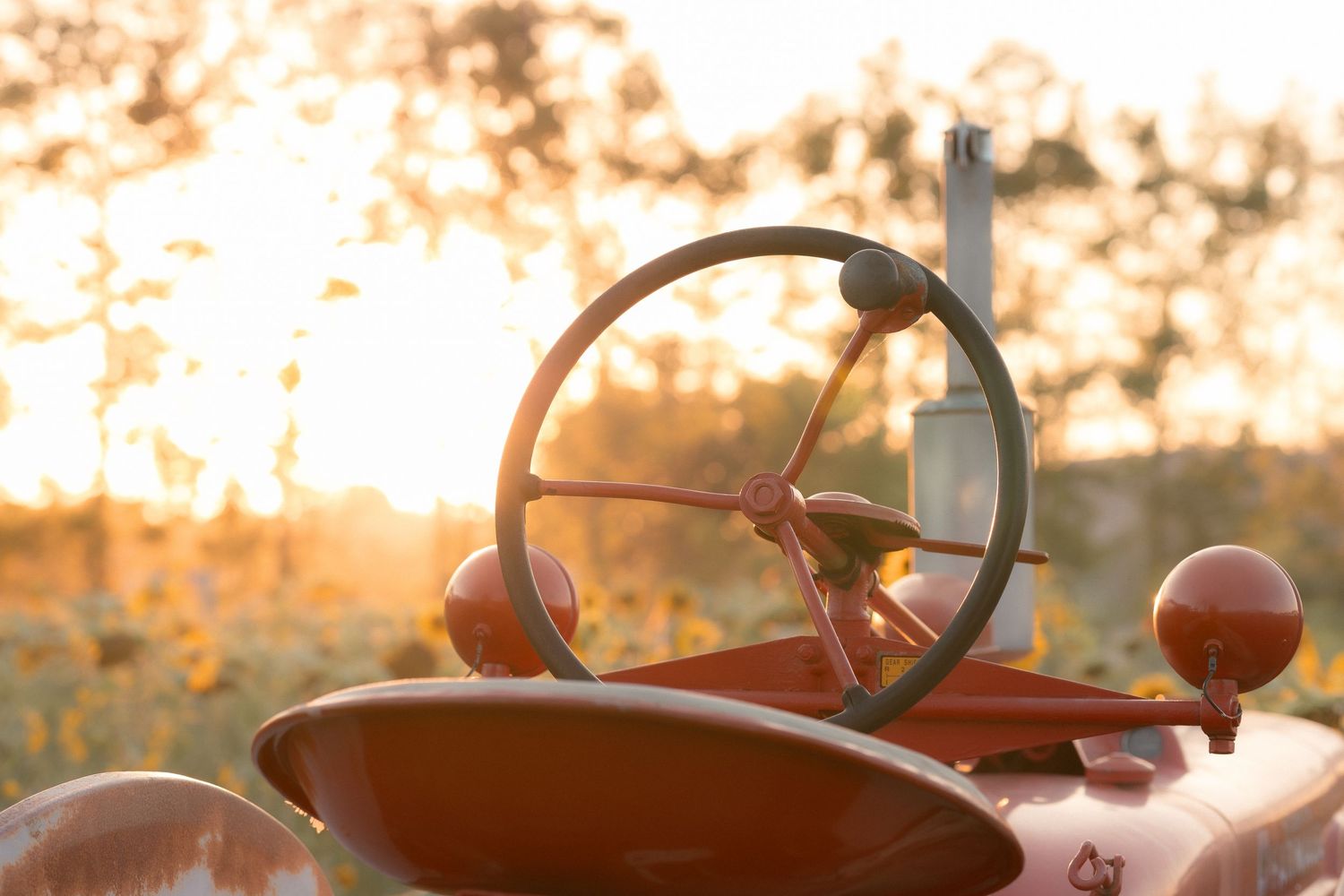 Vintage red tractor steering wheel glowing in golden sunset light with blurred sunflower field background.