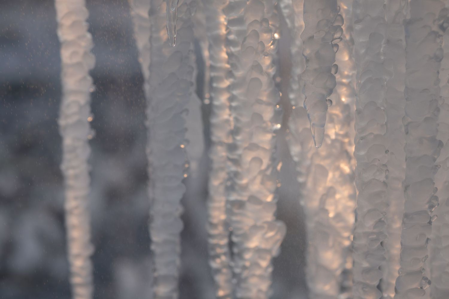 Delicate icicles hanging in a row with soft blurred background illuminated by warm light.