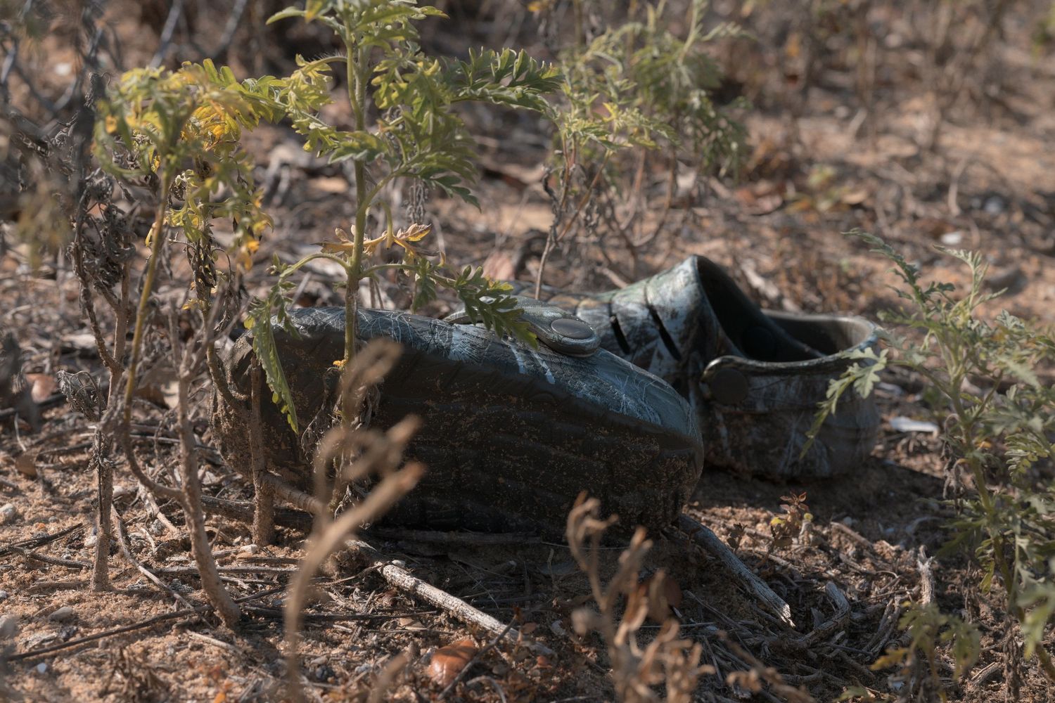 Worn old boots abandoned on dry cracked earth surrounded by sparse desert shrubs and vegetation.