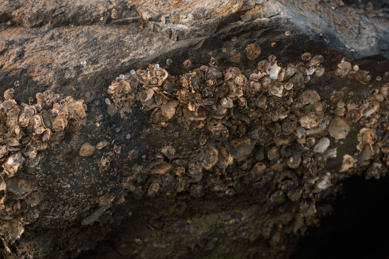 Close-up view of a rough textured rock surface with layered sedimentary patterns and natural weathering marks.