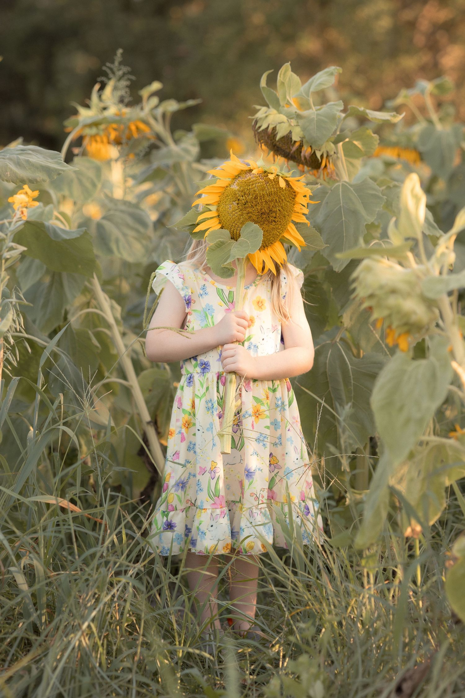 Young girl in floral dress holding a large sunflower over her face while standing in a sunflower field.