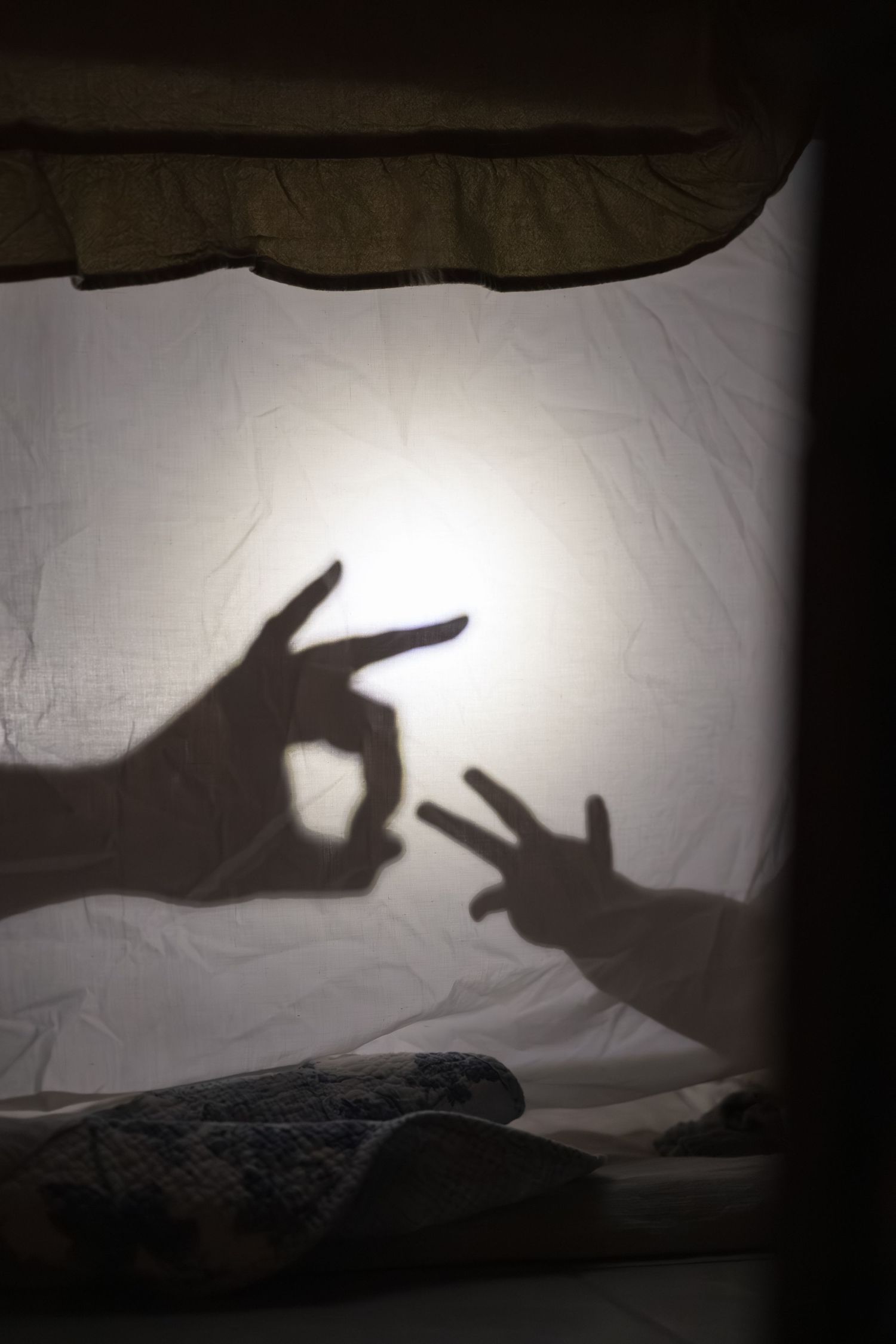 Shadow puppets of hands making animal shapes cast on a white wall create playful silhouettes in black and white.