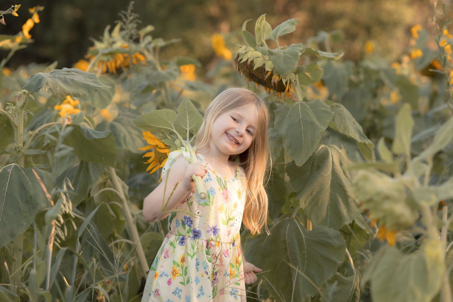 A smiling young girl in a floral dress stands among tall sunflowers in a golden sunlit field.