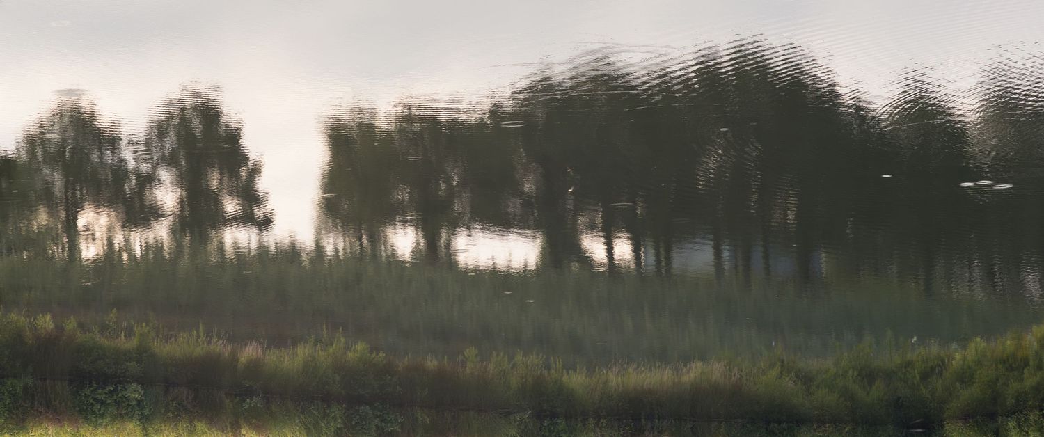 Misty wetland landscape with tall trees reflected in calm water surrounded by lush green reeds at dawn.