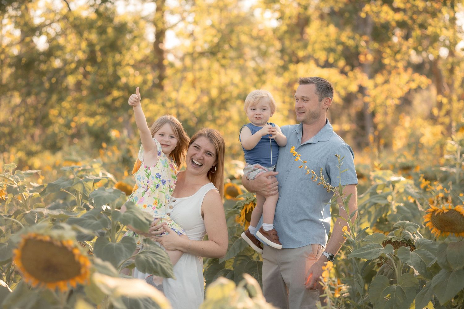Family of four smiling in a sunflower field during golden hour, with a young girl reaching up joyfully.