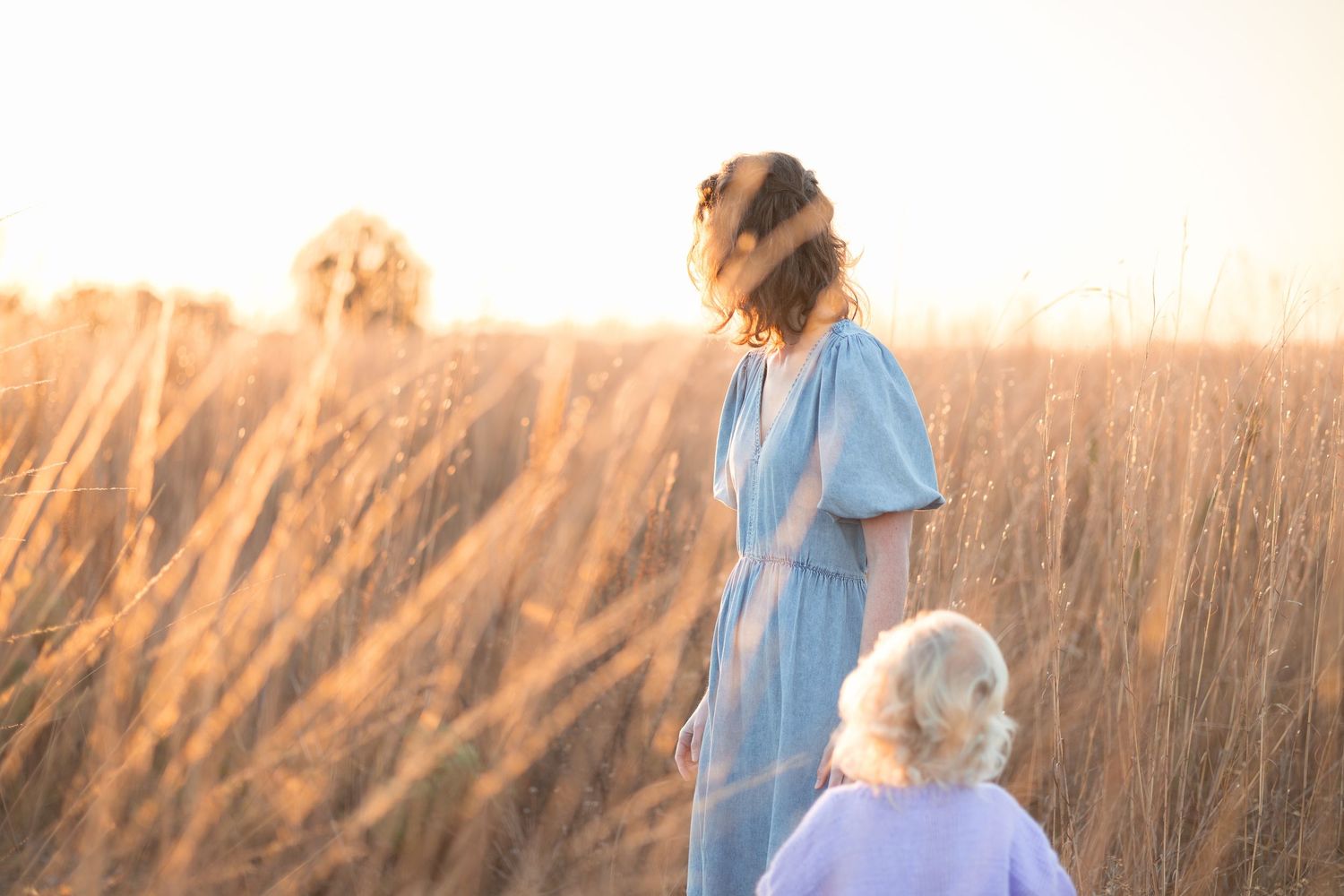A dreamy golden hour scene in a tall grass field with soft sunlight filtering through the wheat stalks.