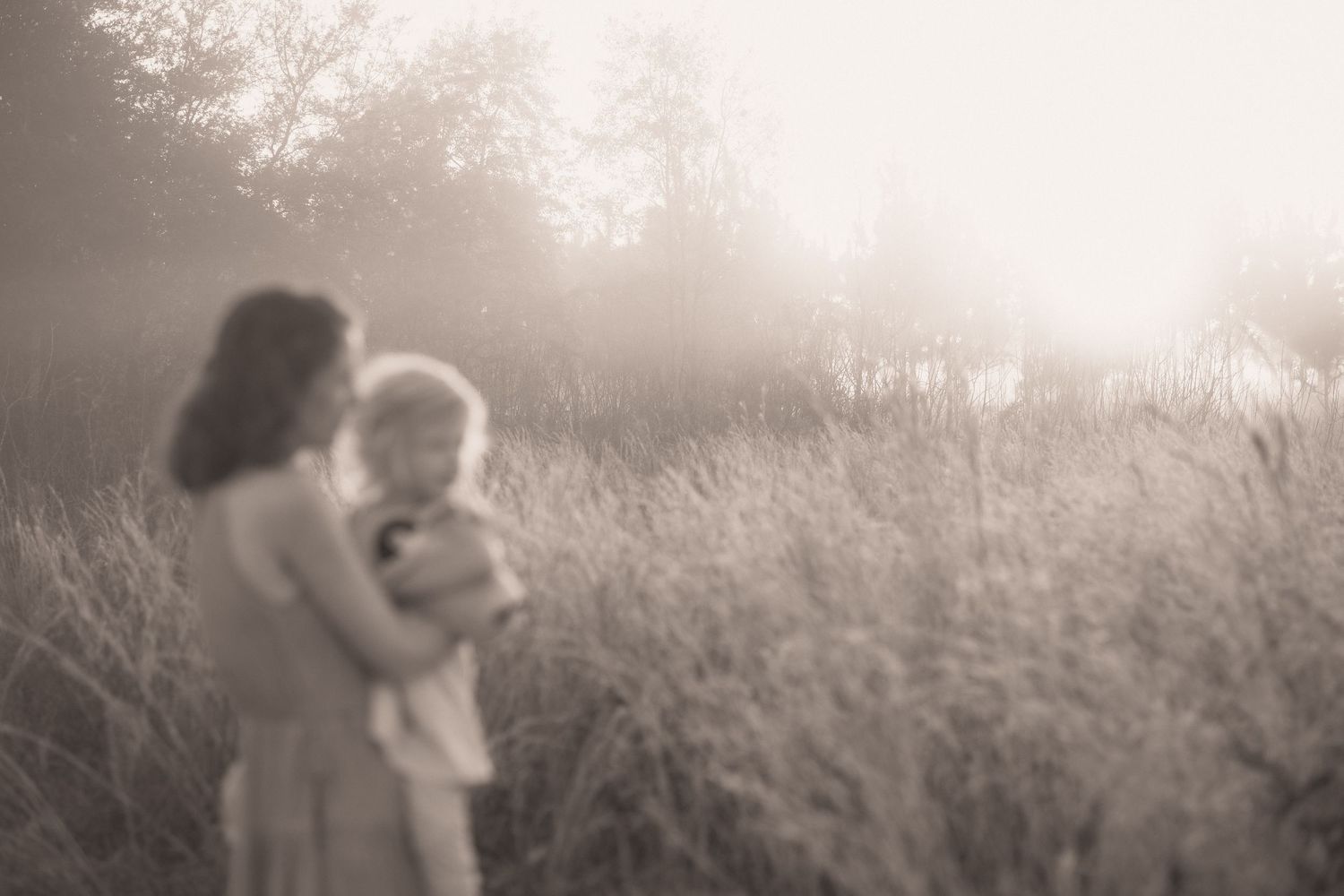 A silhouetted figure stands in a misty field at sunset with tall grass swaying in the golden light.