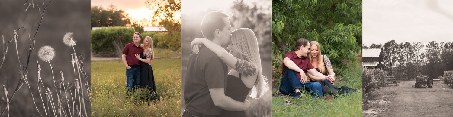 A romantic couple embraces in a golden field at sunset, surrounded by wildflowers and soft natural light.