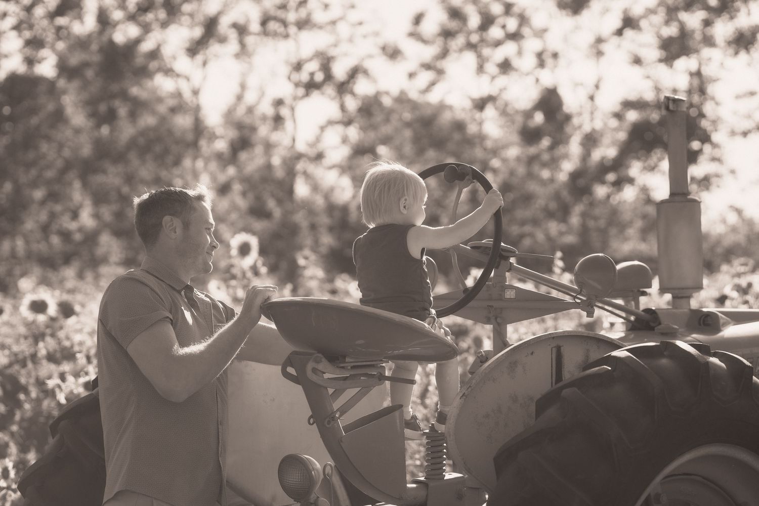 Black and white photo of a man and young child sitting on a vintage tractor surrounded by sunflowers and trees.